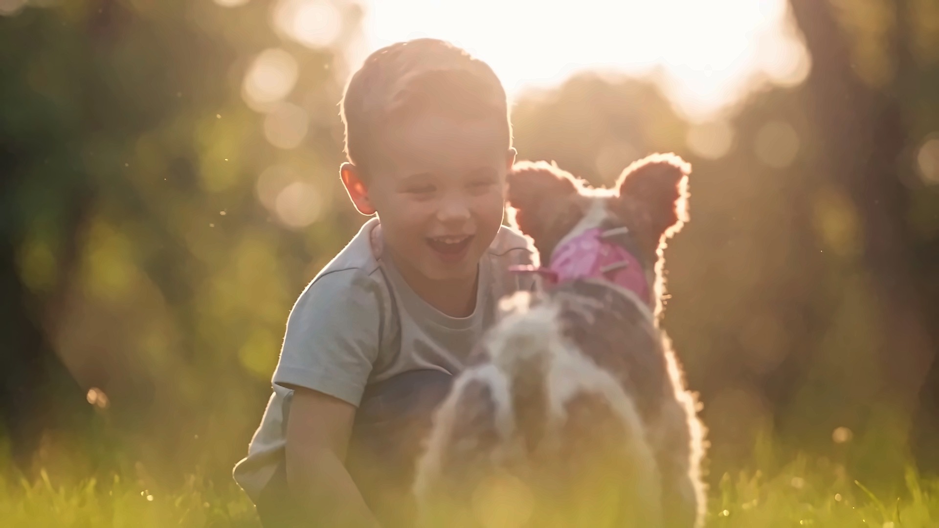 Niño y perro en una plaza